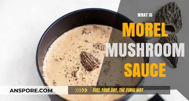 Discover the Rich, Earthy Delight of Morel Mushroom Sauce