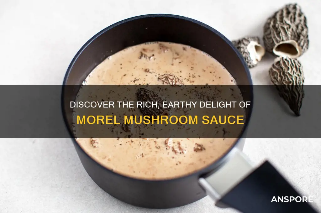 what is morel mushroom sauce