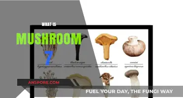 Mushroom 7: Unlocking the Secrets of Longevity