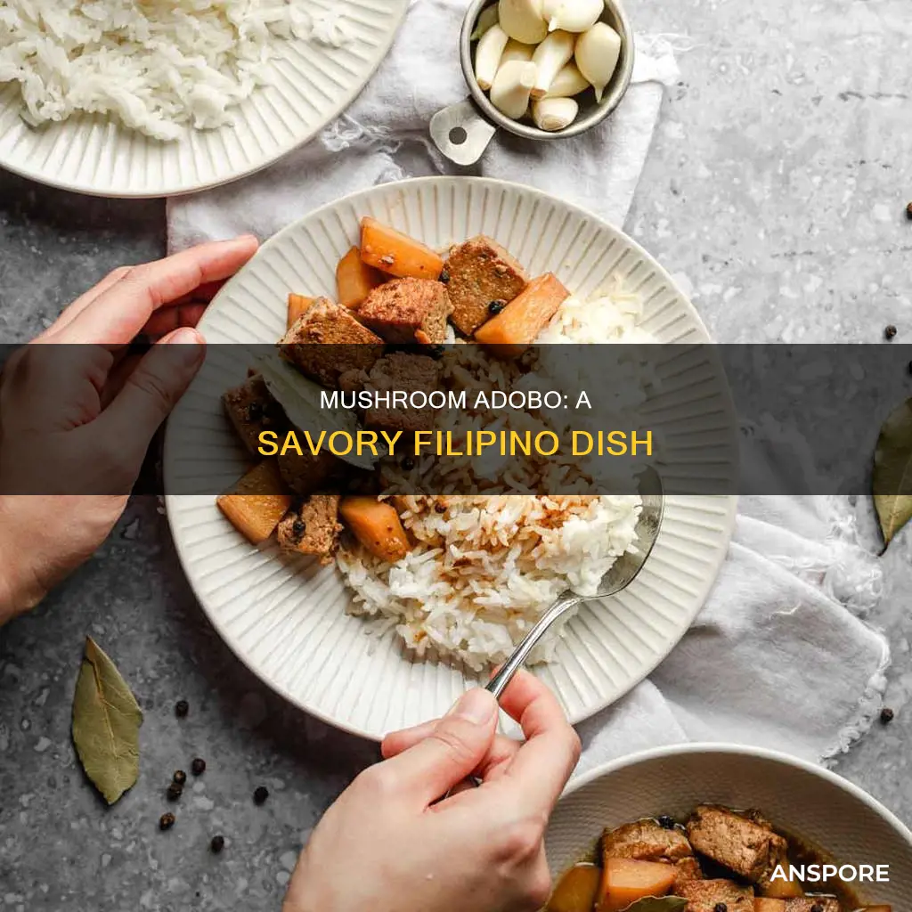 what is mushroom adobo