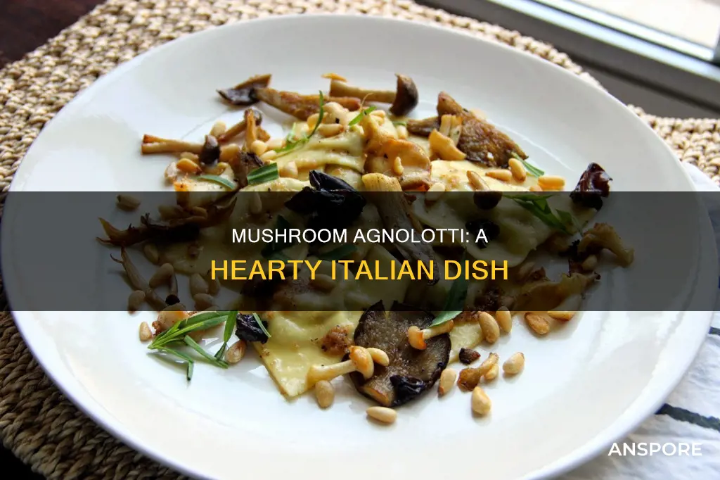 what is mushroom agnolotti