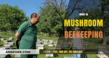 Mushroom Beekeeping: Nature's Perfect Symbiosis