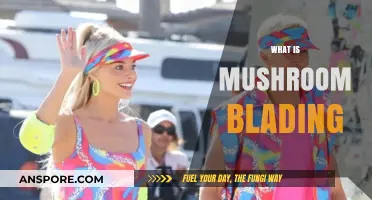 Mushroom Blading: The Art of Skateboarding