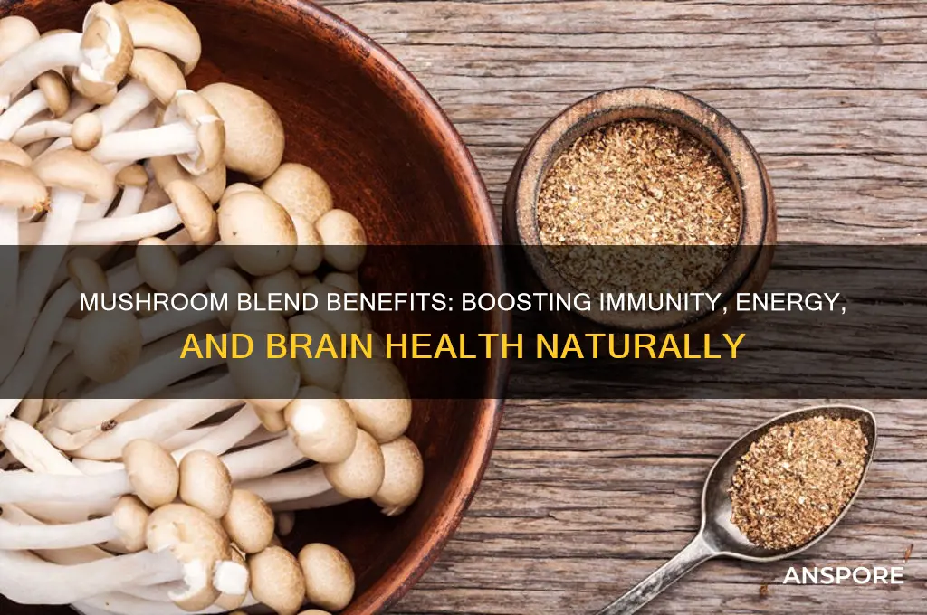 what is mushroom blend good for