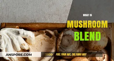 Mushroom Blend: Nature's Superfood Powerhouse