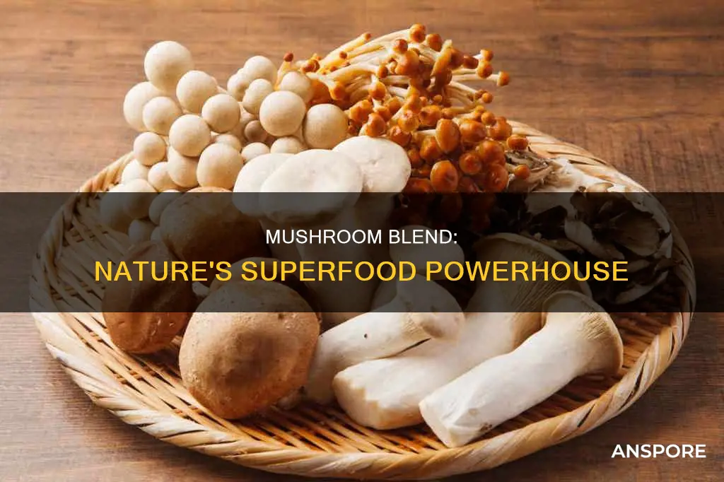 what is mushroom blend