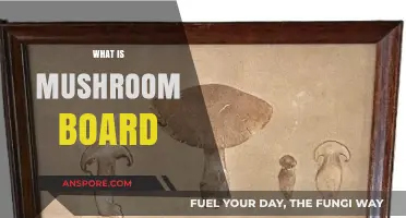 Mushroom Board: Sustainable Future for Skateboarding