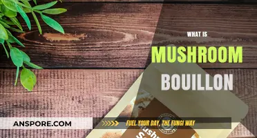 Mushroom Bouillon: A Savory Superfood Broth