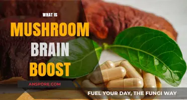Mushroom Brain Boost: Enhancing Cognitive Performance Naturally
