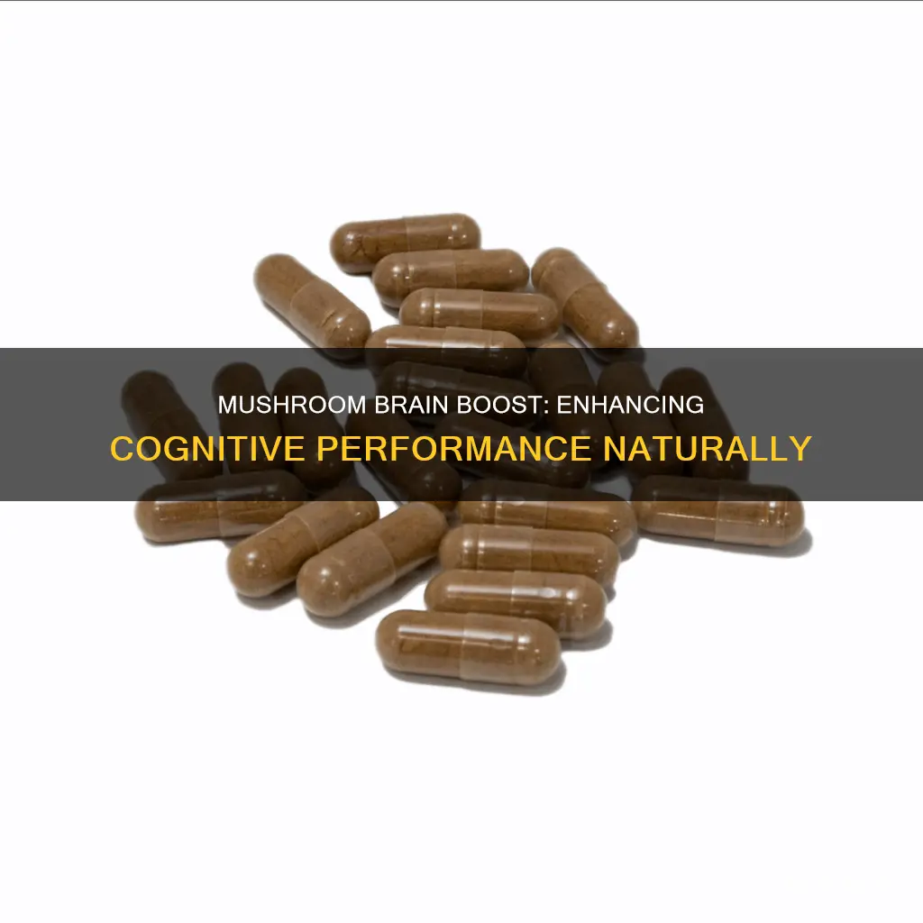 what is mushroom brain boost