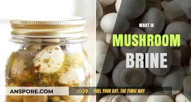 Mushroom Brine: The Ultimate Umami Flavor
