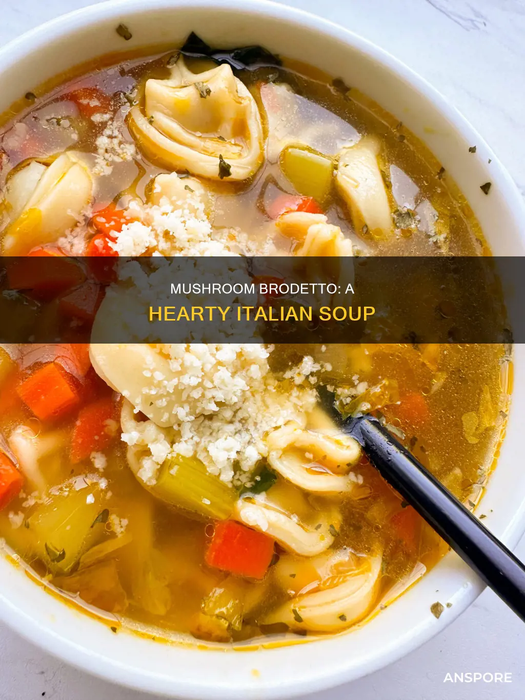 what is mushroom brodetto