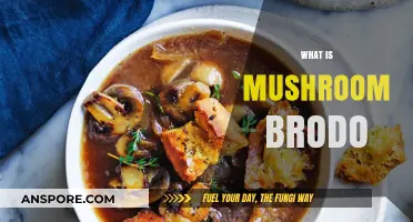 Mushroom Brodo: A Healthy, Delicious Soup