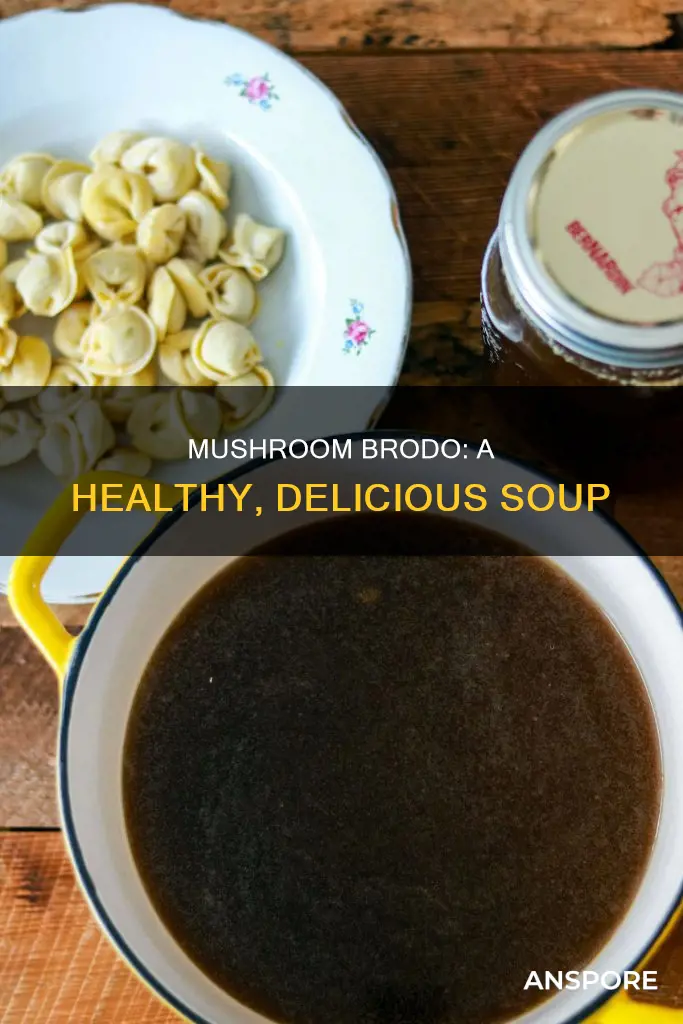 what is mushroom brodo