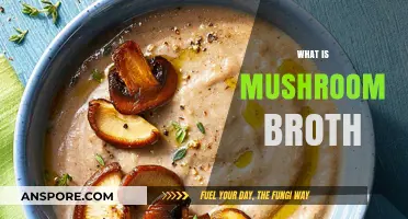Mushroom Broth: A Savory Liquid Gold