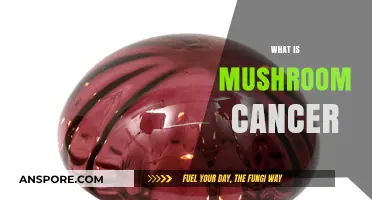 Mushroom Cancer: Understanding the Deadly Fungal Disease