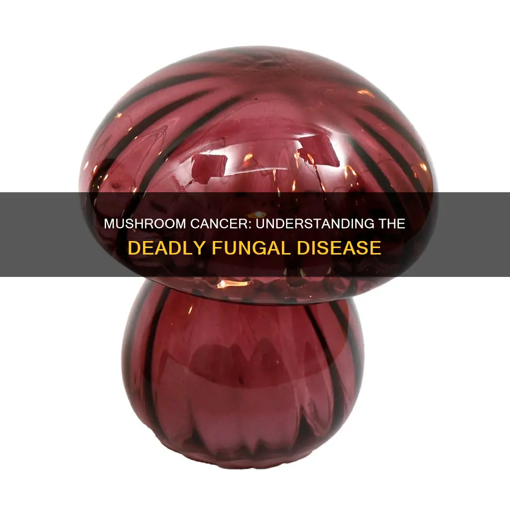 what is mushroom cancer