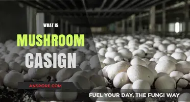 Mushroom casing: Unlocking the Secret to Abundant Growth