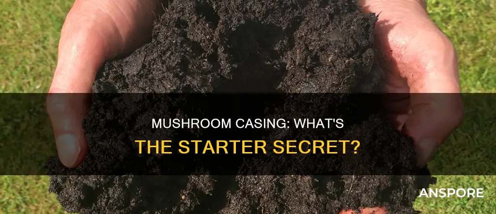 what is mushroom casing starter