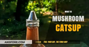 Mushroom Catsup: A Unique, Savory Condiment