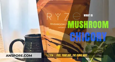 Mushroom Chicory: The Ultimate Superfood Blend