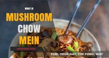 Mushroom Chow Mein: A Tasty Chinese Dish