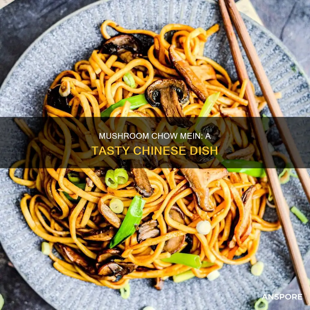 what is mushroom chow mein