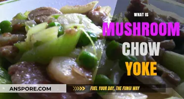 Mushroom Chow Yoke: A Delicious Chinese Dish