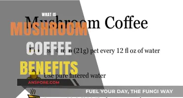Mushroom Coffee: Superfood Brew Benefits