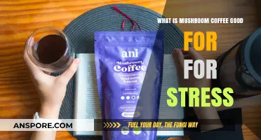 Mushroom Coffee Benefits: Reducing Stress and Boosting Relaxation Naturally