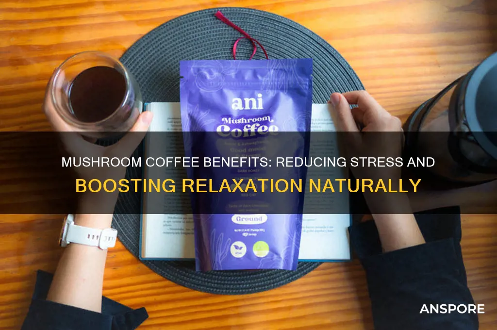 what is mushroom coffee good for for stress