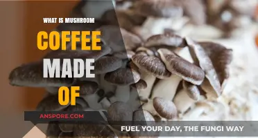 Discover the Ingredients: What is Mushroom Coffee Made Of?