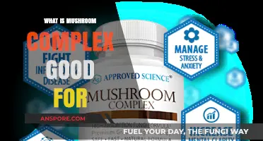 Mushroom Complex Benefits: Boosting Immunity, Energy, and Overall Health Naturally