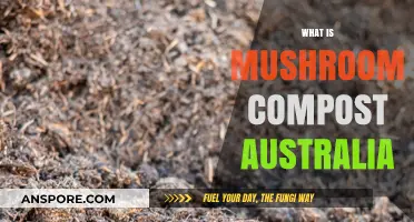 Mushroom Compost: Australia's Super Soil