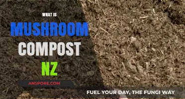 Mushroom Compost: NZ's Superfood for Gardens