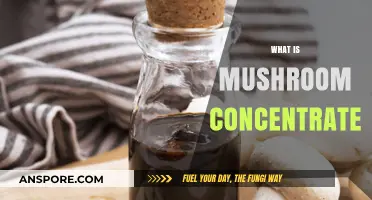 Mushroom Concentrate: Nature's Superfood Boost