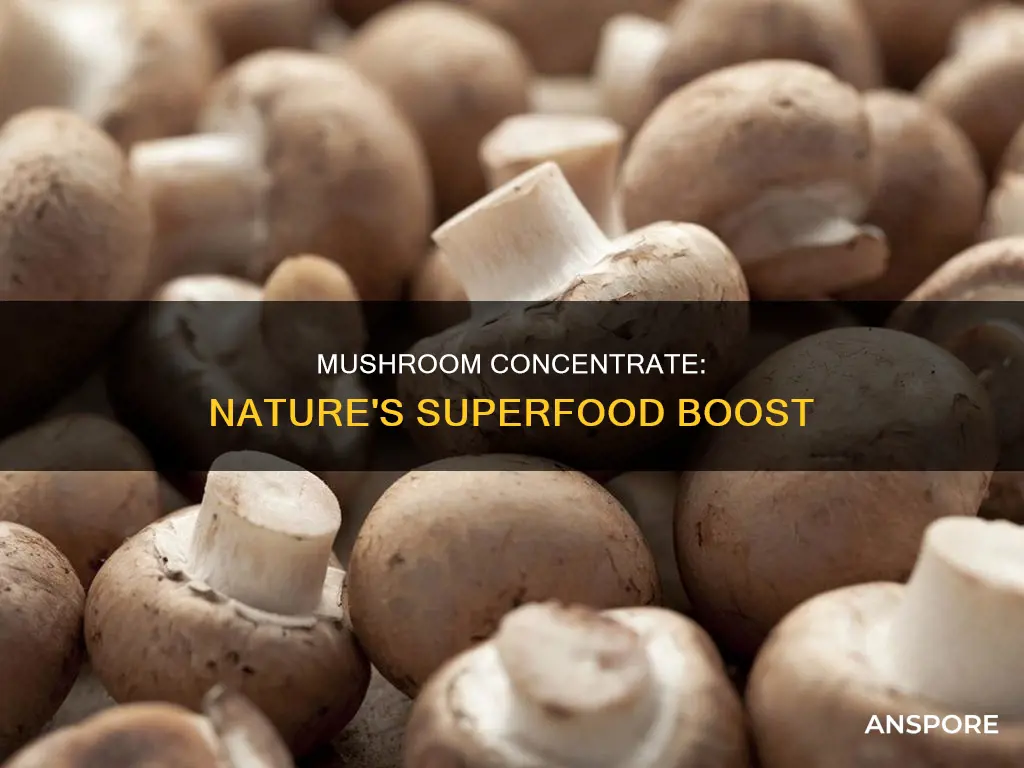 what is mushroom concentrate