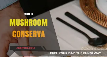 Mushroom Conserva: An Introduction to Umami-Rich Topping