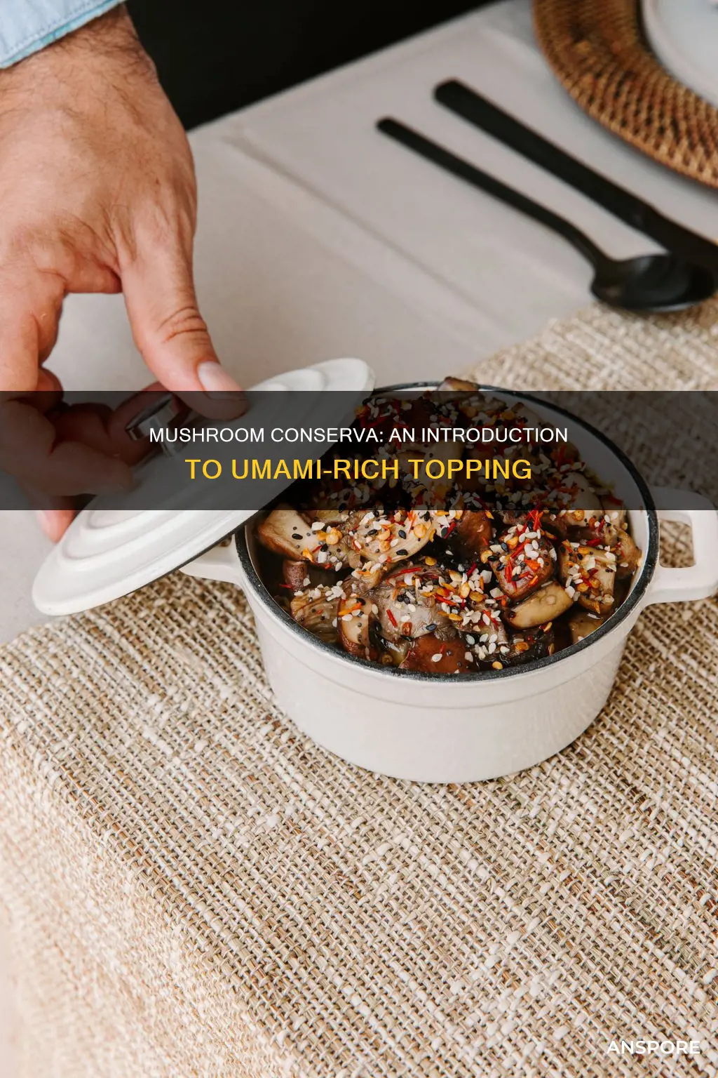 what is mushroom conserva