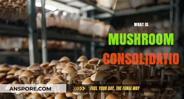 Mushroom Consolidation: Understanding the Business Strategy