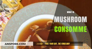 Mushroom Consomme: A Hearty, Healthy Soup