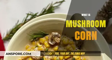 Mushroom Corn: A Tasty, Healthy Treat