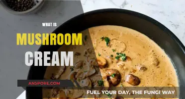 Mushroom Cream: A Culinary Delight