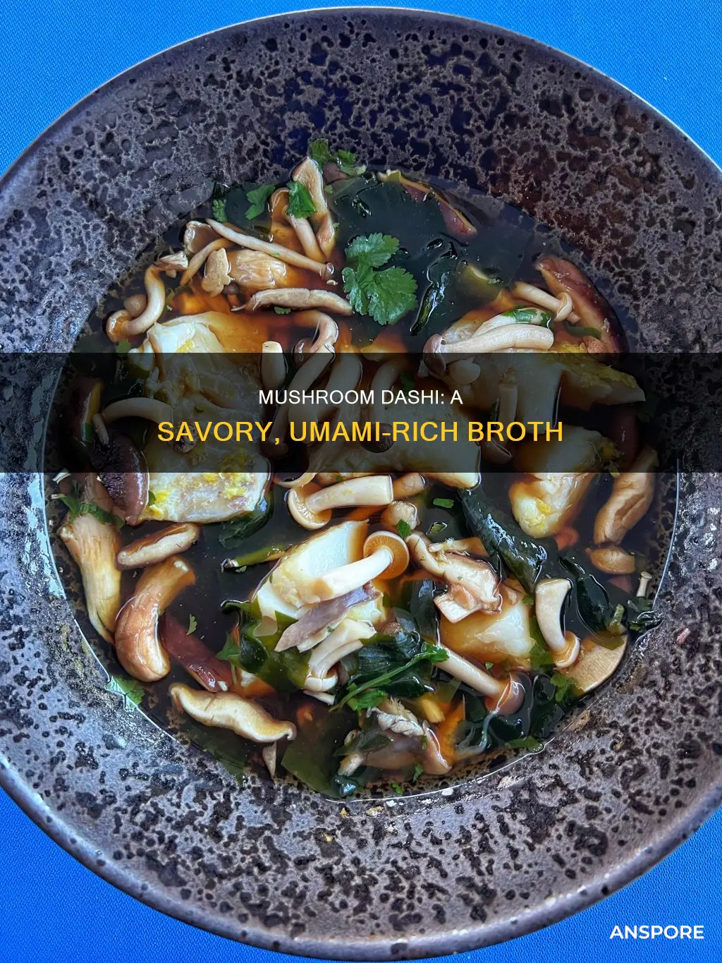 what is mushroom dashi