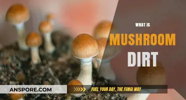 Mushroom Dirt: What's the Fuss About?
