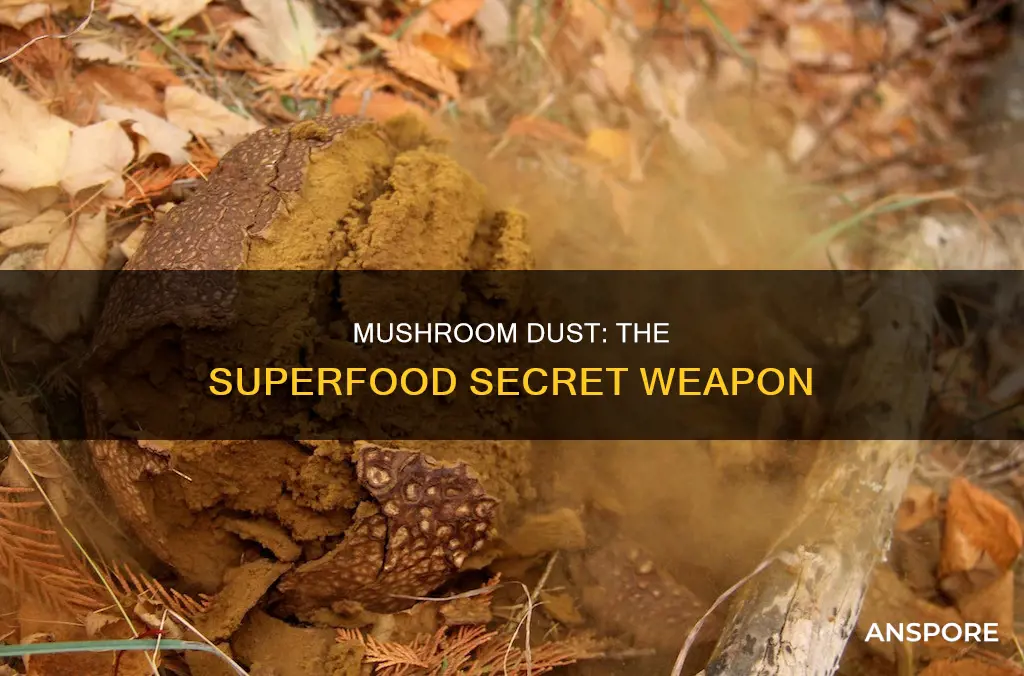 what is mushroom dust