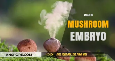 Mushroom Embryo: Nature's Tiny Miracle