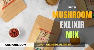 Mushroom Elixir Mix: Nature's Superfood Blend