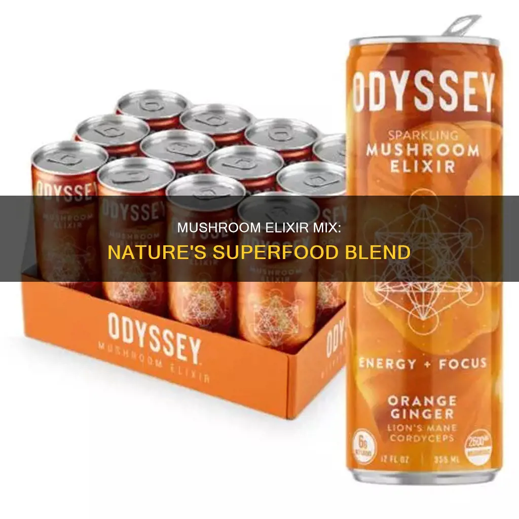 what is mushroom exlixir mix