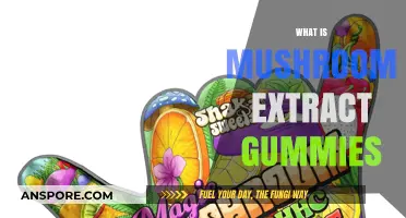 Mushroom Extract Gummies: Nature's Magic in a Chew